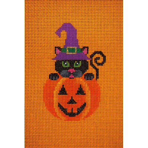 Black Cat in Pumpkin