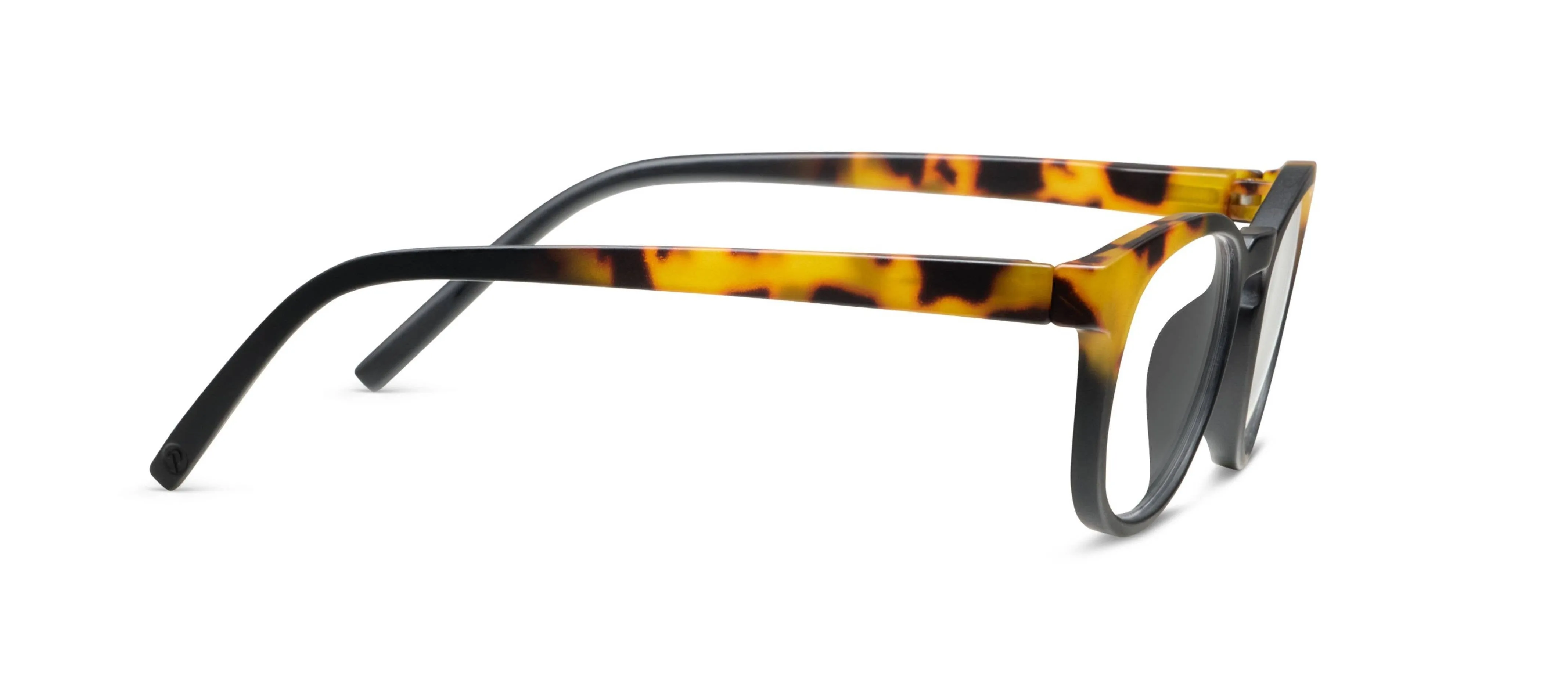 Chester (Blue Light): Black/Tokyo Tortoise / Reading / 2.25