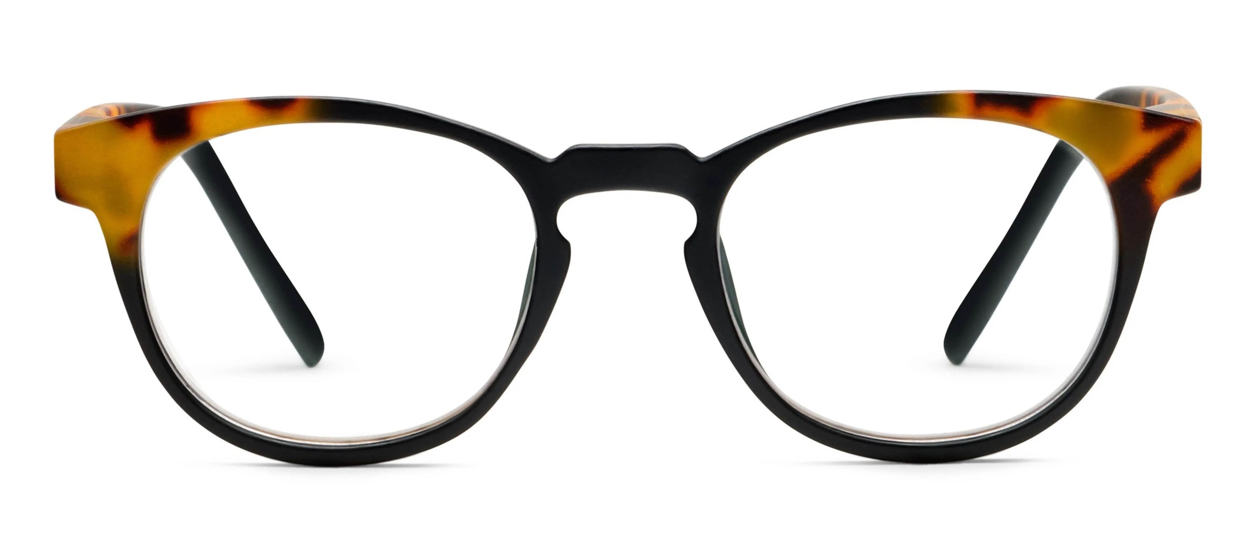 Chester (Blue Light): Black/Tokyo Tortoise / Reading / 2.25