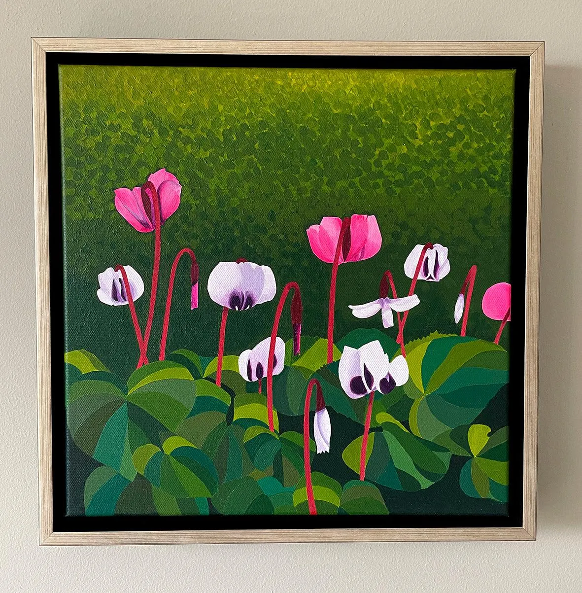 Cyclamen