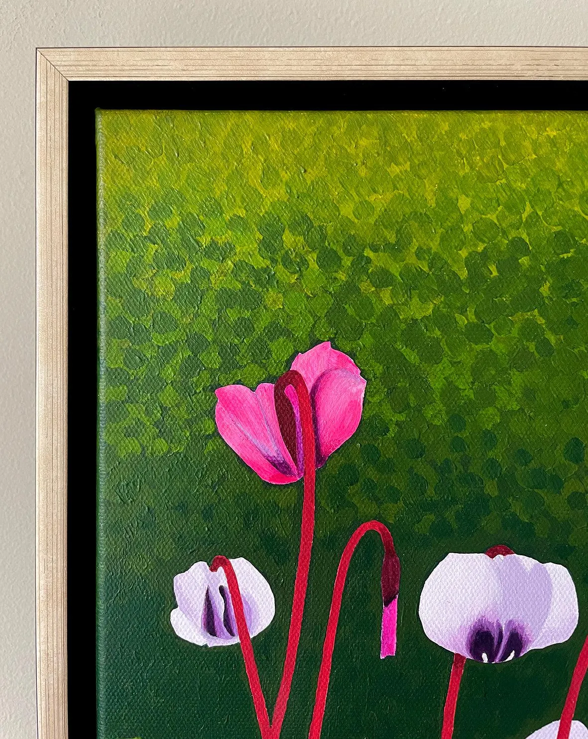 Cyclamen