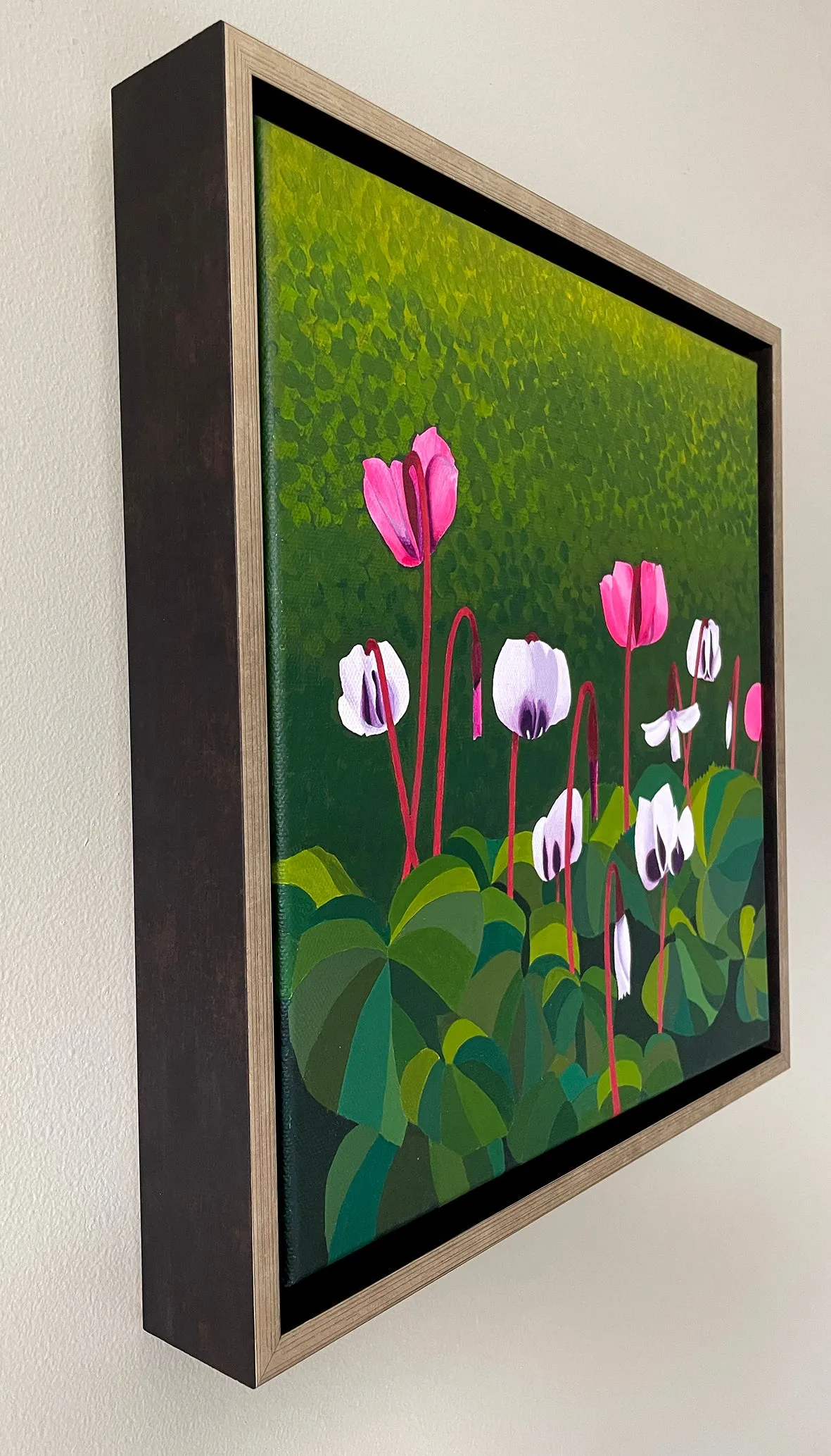 Cyclamen