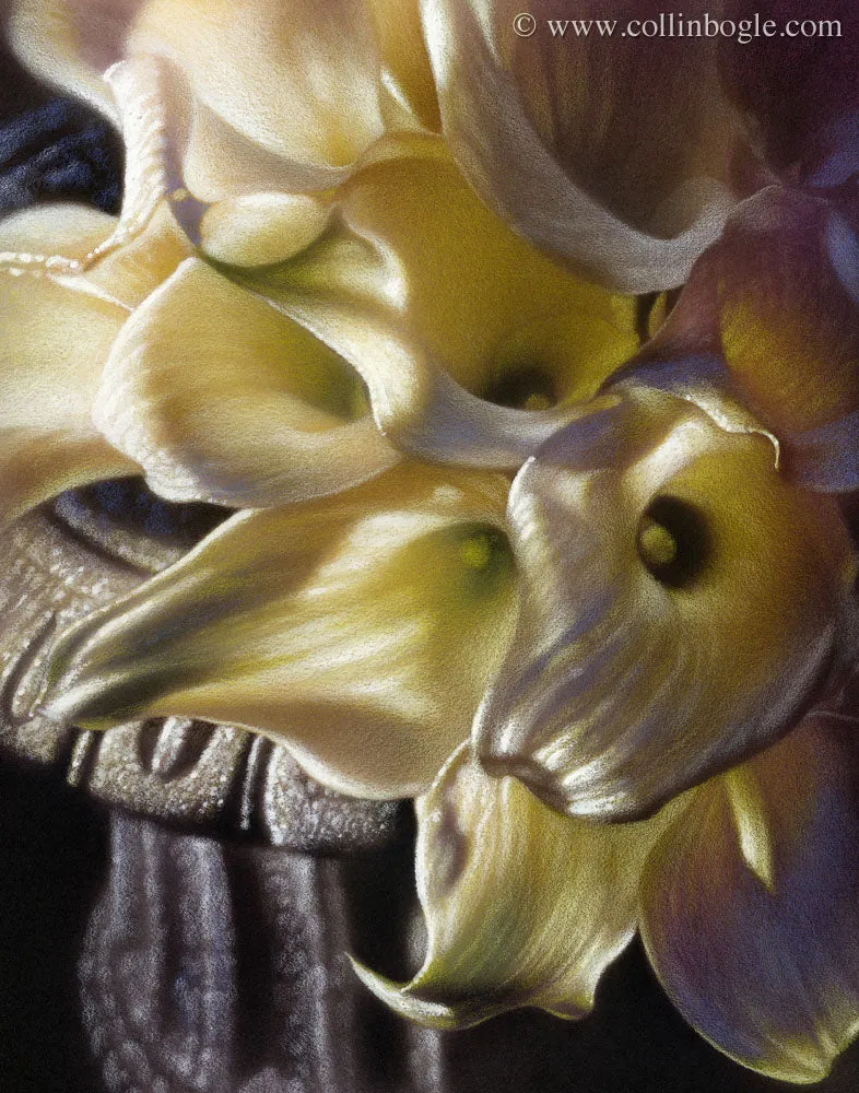 Light & Lilies