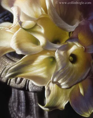 Light & Lilies