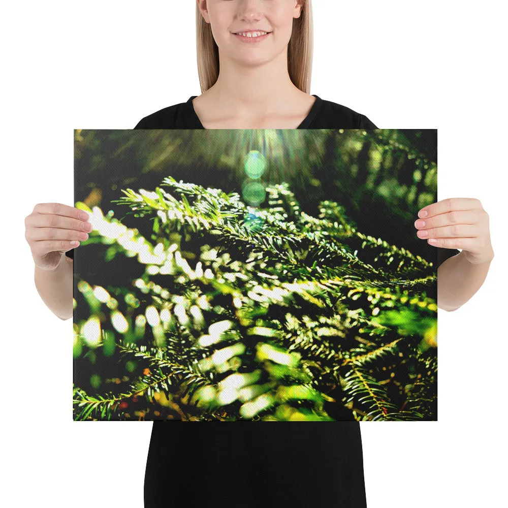 The New Every Morning Canvas