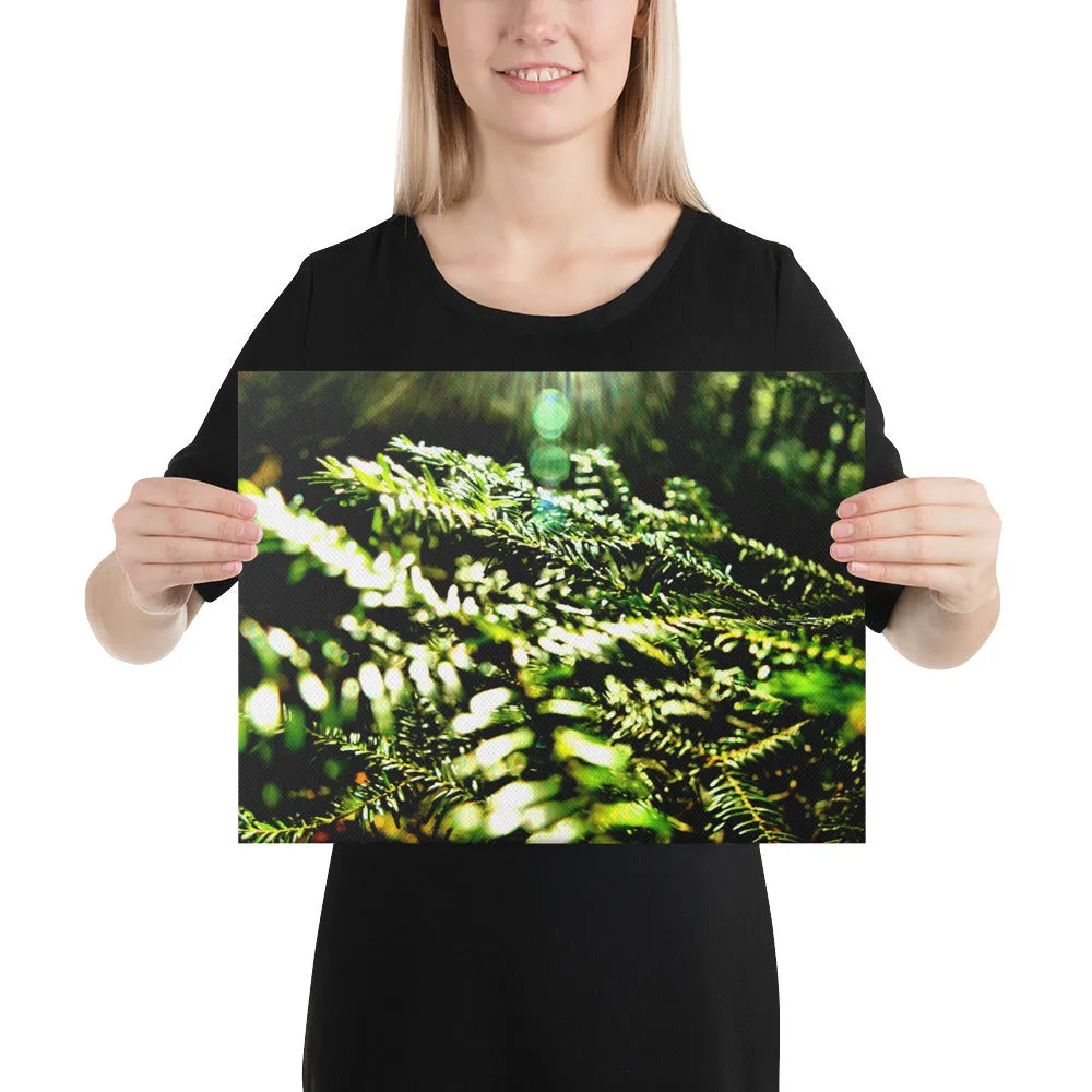 The New Every Morning Canvas